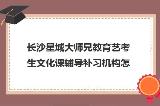 长沙星城大师兄教育艺考生文化课辅导补习机构怎么收费