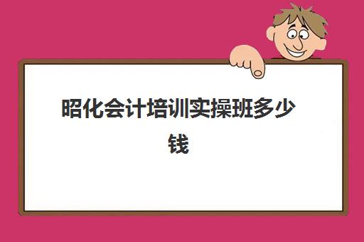 昭化会计培训实操班多少钱(初级会计培训班要多少钱一个月)