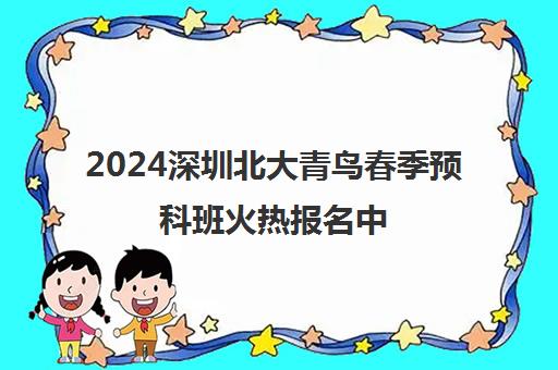 2024深圳北大青鸟春季预科班火热报名中