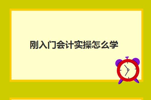 刚入门会计实操怎么学(会计自学入门教程)