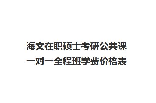 海文在职硕士考研公共课一对一全程班学费价格表（海文考研价格）