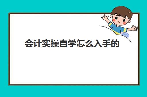 会计实操自学怎么入手的(会计初学者的入门知识基础教程)