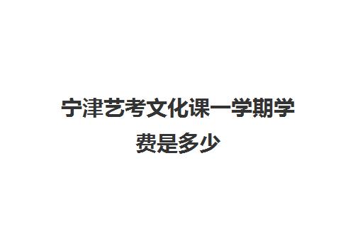 宁津艺考文化课一学期学费是多少(山东艺术学院收费标准)