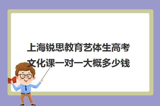 上海锐思教育艺体生高考文化课一对一大概多少钱（上海三大艺考培训机构）