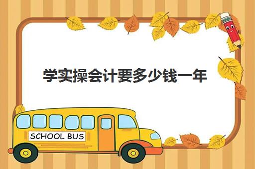 学实操会计要多少钱一年(3个月会计速成班多少钱)