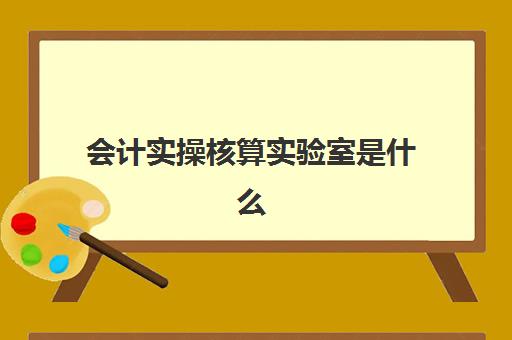 会计实操核算实验室是什么(会计核算中心环节是什么)