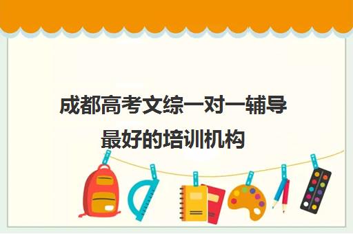 成都高考文综一对一辅导最好的培训机构(成都市高考冲刺班比较出名的)