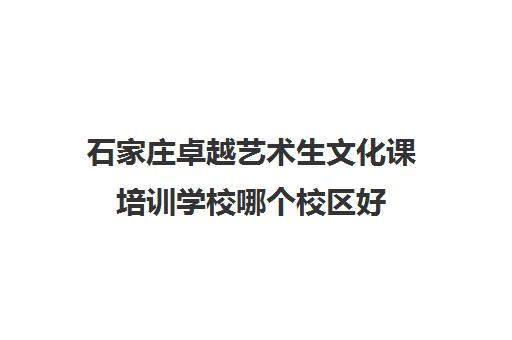 石家庄卓越艺术生文化课培训学校哪个校区好(艺考生文化课分数线)