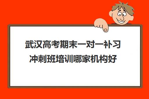 武汉高考期末一对一补习冲刺班培训哪家机构好