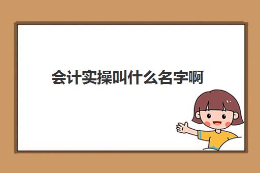 会计实操叫什么名字啊(会计实训有哪些实训课程)