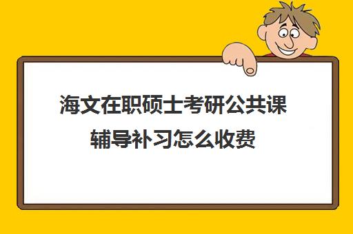 海文在职硕士考研公共课辅导补习怎么收费