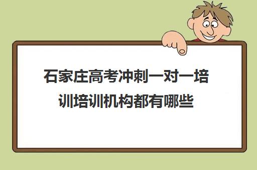 石家庄高考冲刺一对一培训培训机构都有哪些(石家庄高三补课的机构哪家好)