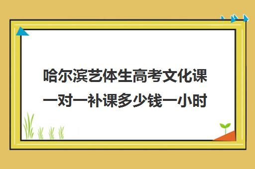 哈尔滨艺体生高考文化课一对一补课多少钱一小时(哈尔滨艺考培训机构排名)