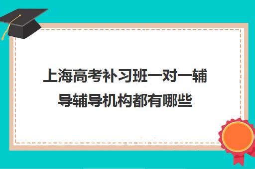 上海高考补习班一对一辅导辅导机构都有哪些