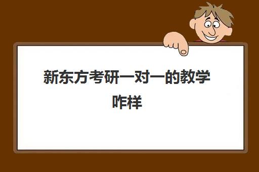 新东方考研一对一的教学咋样(新东方考研出单容易么)