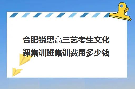 合肥锐思高三艺考生文化课集训班集训费用多少钱(艺考集训一般多少钱)