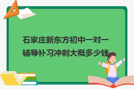 石家庄新东方初中一对一辅导补习冲刺大概多少钱