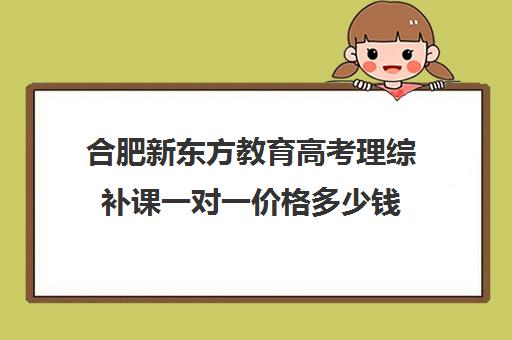 合肥新东方教育高考理综补课一对一价格多少钱（新东方高三一对一收费价格表）