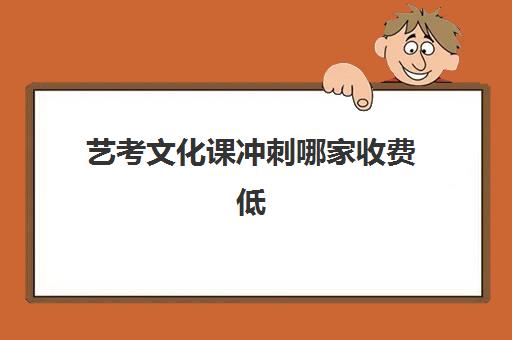 艺考文化课冲刺哪家收费低(高三艺术班文化课冲刺)