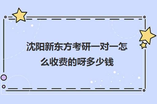 沈阳新东方考研一对一怎么收费呀多少钱(新东方线上考研班多少钱)