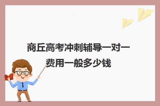 商丘高考冲刺辅导一对一费用一般多少钱(高考一对一辅导班)