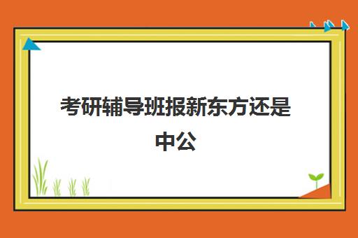 考研辅导班报新东方还是中公(报个考研辅导班多少钱)