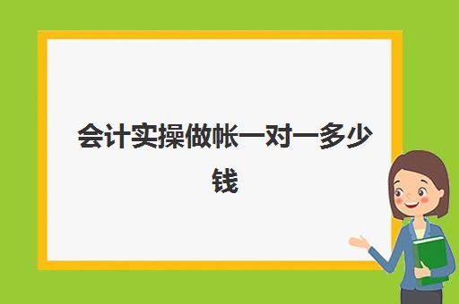 会计实操做帐一对一多少钱(会计培训班出来好找工作吗)