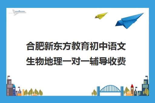 合肥新东方教育初中语文生物地理一对一辅导收费标准一览表（新东方合肥学校官网）