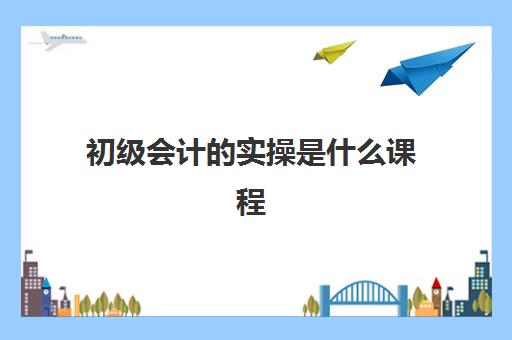 初级会计的实操是什么课程(初级会计学什么)