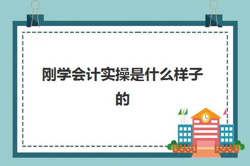 刚学会计实操是什么样子的(新手会计应该怎么着手)