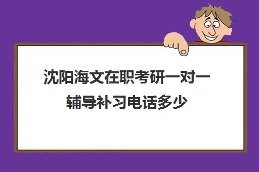 沈阳海文在职考研一对一辅导补习电话多少