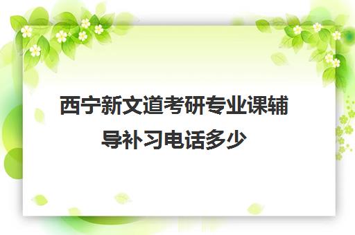 西宁新文道考研专业课辅导补习电话多少