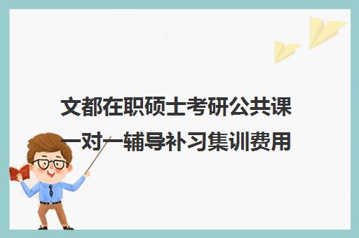 文都在职硕士考研公共课一对一辅导补习集训费用多少钱