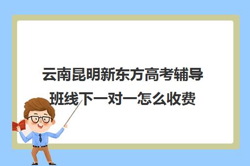 云南昆明新东方高考辅导班线下一对一怎么收费(初中一对一辅导哪个好)