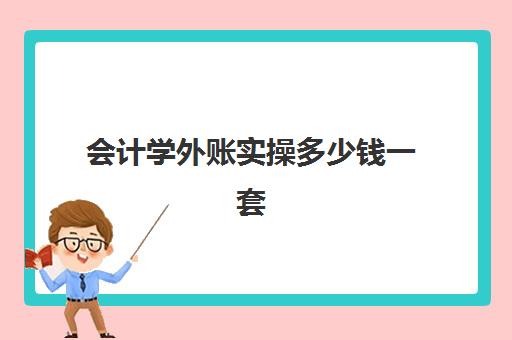 会计学外账实操多少钱一套(0基础会计怎么学)