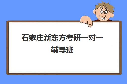 石家庄新东方考研一对一辅导班(新东方考研班一般多少钱)