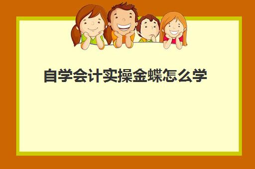 自学会计实操金蝶怎么学(金蝶软件难学吗)