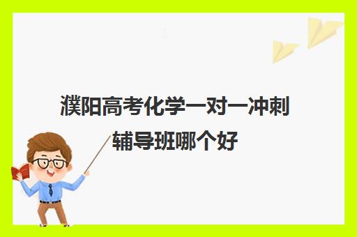 濮阳高考化学一对一冲刺辅导班哪个好(新东方高考培训机构官网)