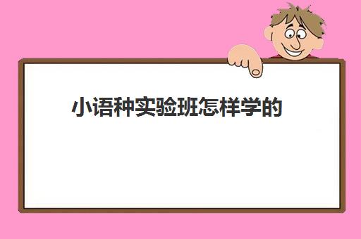 小语种实验班怎样学的(小语种怎么学)