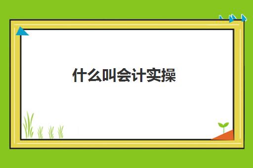 什么叫会计实操(会计基本实务是什么)