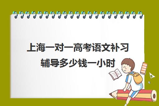 上海一对一高考语文补习辅导多少钱一小时