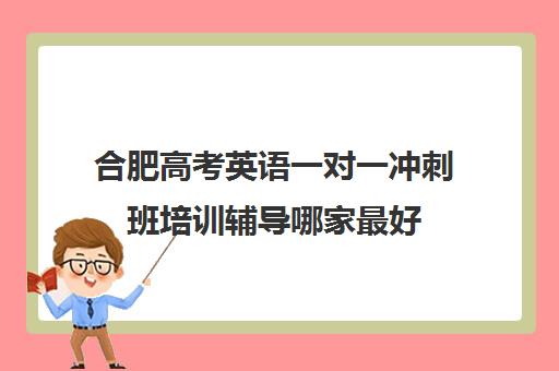 合肥高考英语一对一冲刺班培训辅导哪家最好(合肥学英语哪个机构好)