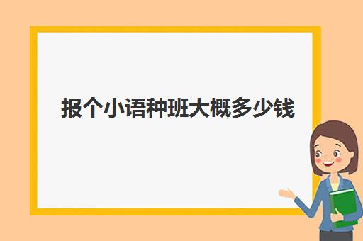 报个小语种班大概多少钱(小语种培训班一般多少钱)