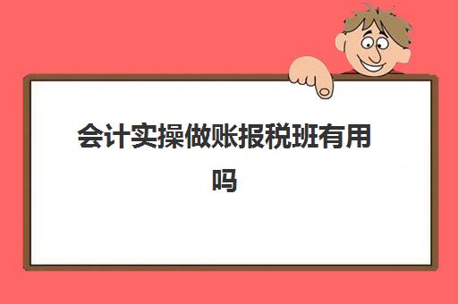 会计实操做账报税班有用吗(学报税有必要报班吗)