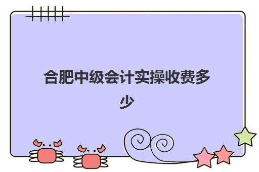 合肥中级会计实操收费多少(中级会计学费一般要多少)