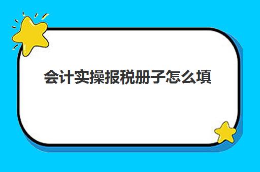 会计实操报税册子怎么填(手写记账凭证填写样本)