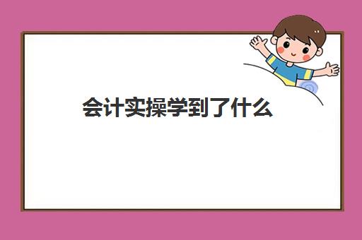 会计实操学到了什么(零基础学会计怎么学)