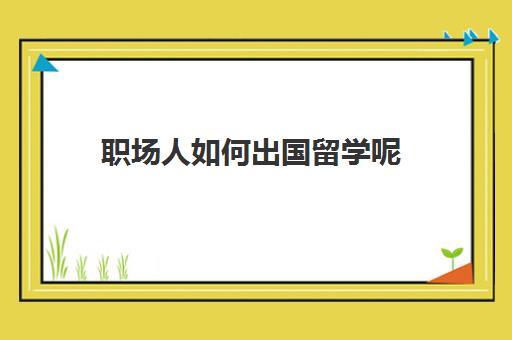 职场人如何出国留学呢(怎么可以出国工作)