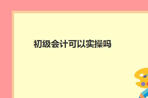 初级会计可以实操吗(初级会计自己学能过吗)