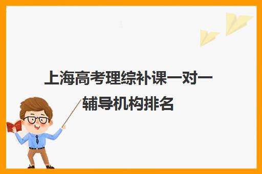 上海高考理综补课一对一辅导机构排名(一对一补课利弊)